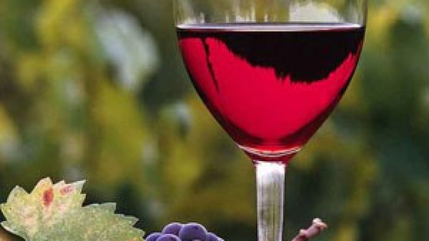Vyno degustacija &#8220;Keturių kontinentų Pinot Noir&#8221;