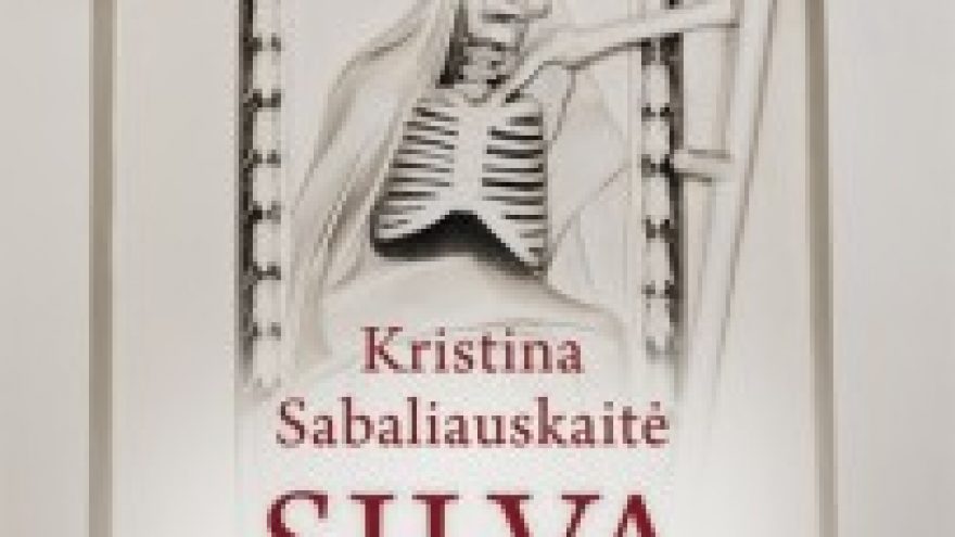 Ekskursija „Vilnius K. Sabaliauskaitės romane „Silva rerum II““