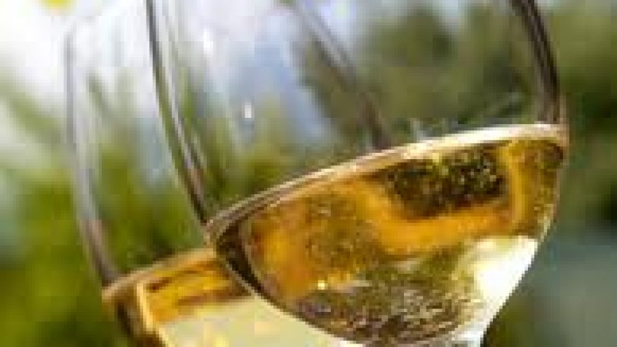 Sauvignon Blanc vyno iš skirtingų regionų degustavimas