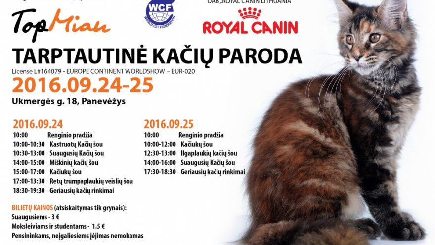 Tarptautinė Kačių paroda Panevėžyje