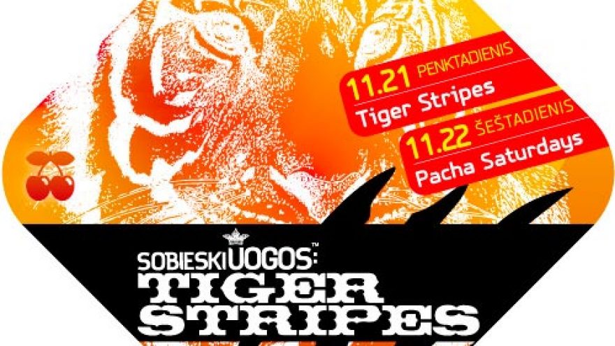 SOBIESKI UOGOS™: Tiger Stripes (Pacha)