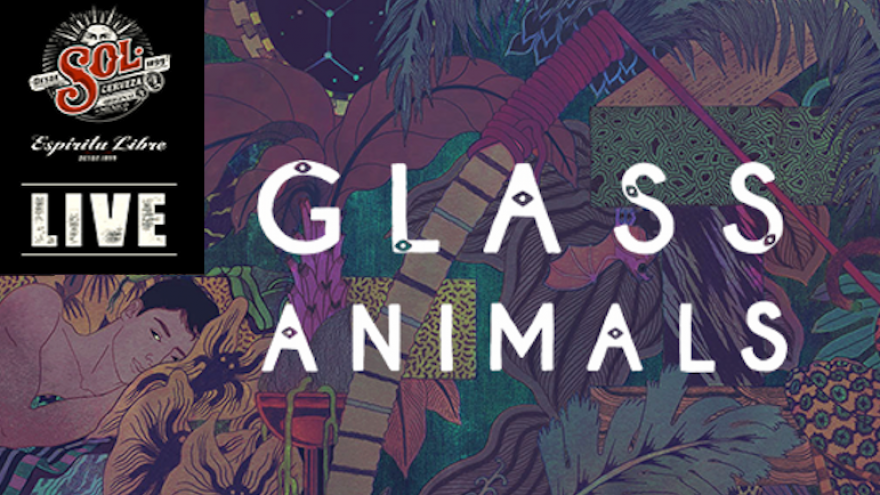 SOL LIVE: Glass Animals (UK)