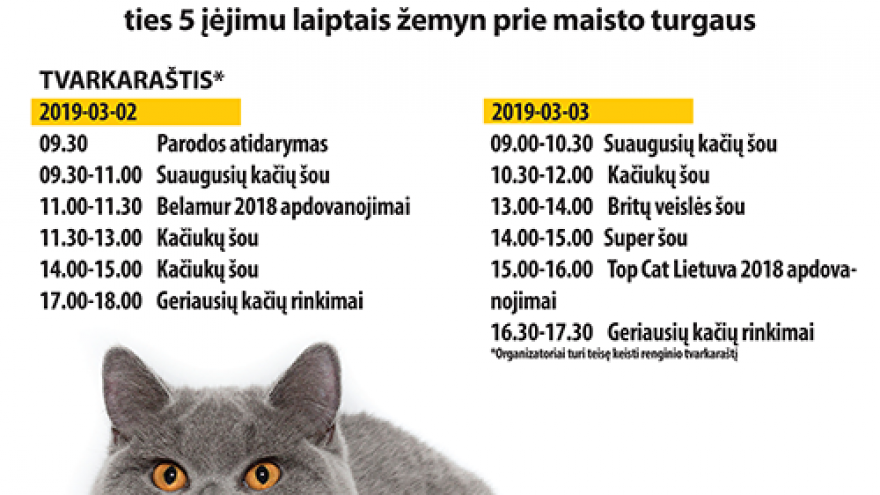 Tarptautinė kačių paroda Vilniuje