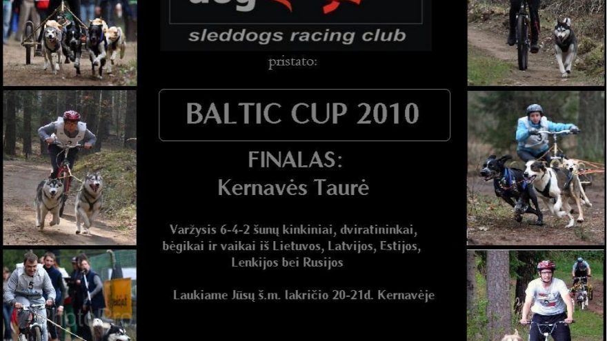 Baltic Cup 2010