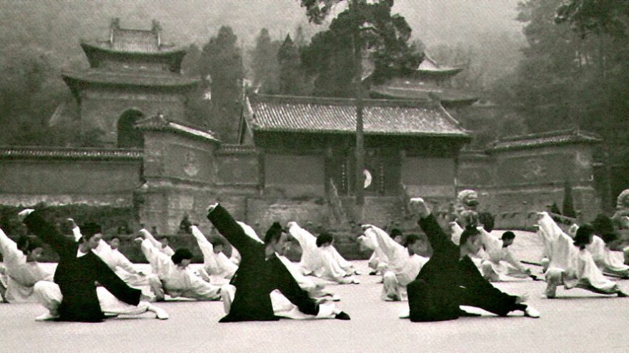 Įvadas į Wudang Taichi praktikas