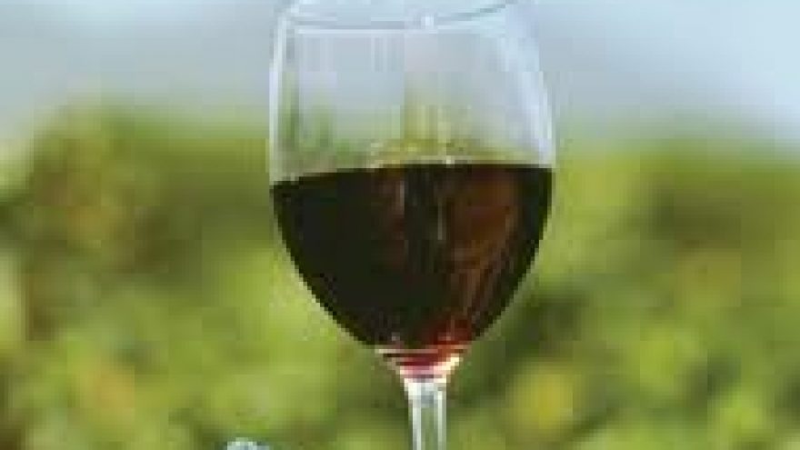 Vynuogių dvikova: Cabernet Sauvignon prieš Merlot