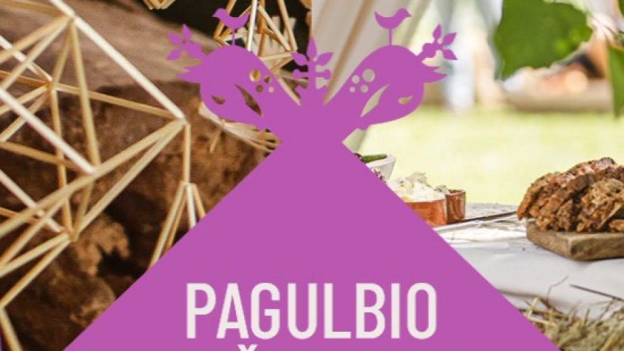 PAGULBIO ŠEIMŲ FESTIVALIS