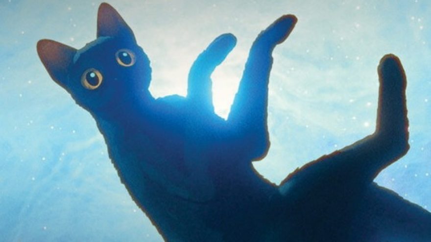 Potvynis | Visaginas | Kino filmas