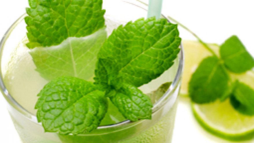 MOJITO PARTY