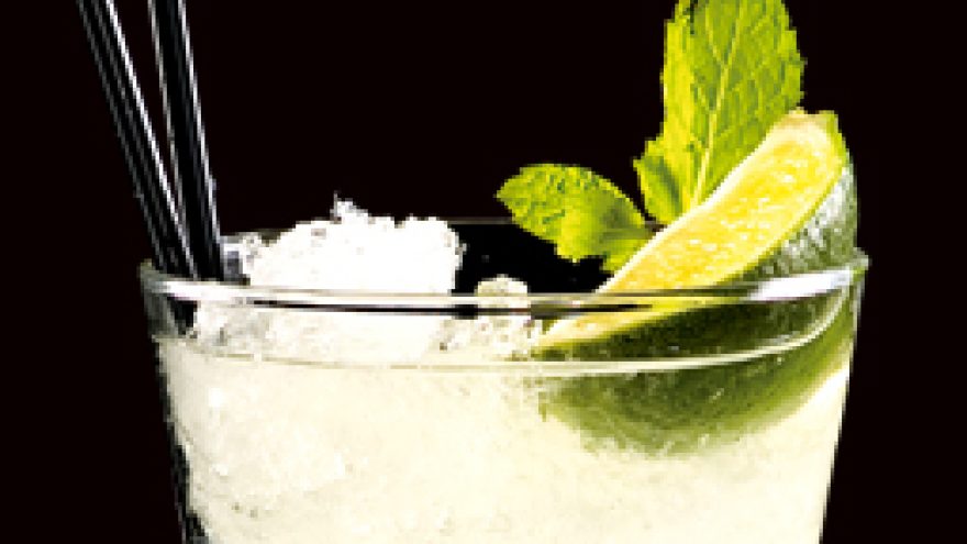 MOJITO PARTY