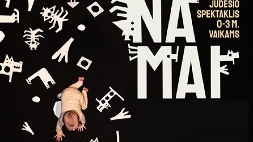 NAMAI, rež. Ieva Jackevičiūtė