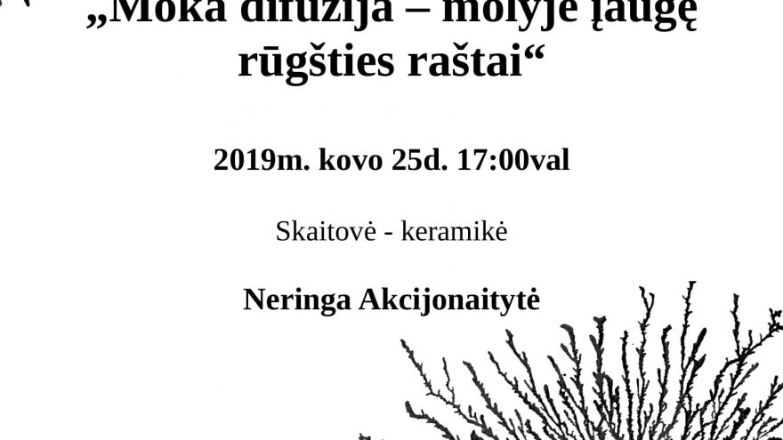 &#8220;Moka difuzija &#8211; molyje įaugę rūgšties raštai&#8221;, Neringos Akcijonaitytės paskaita