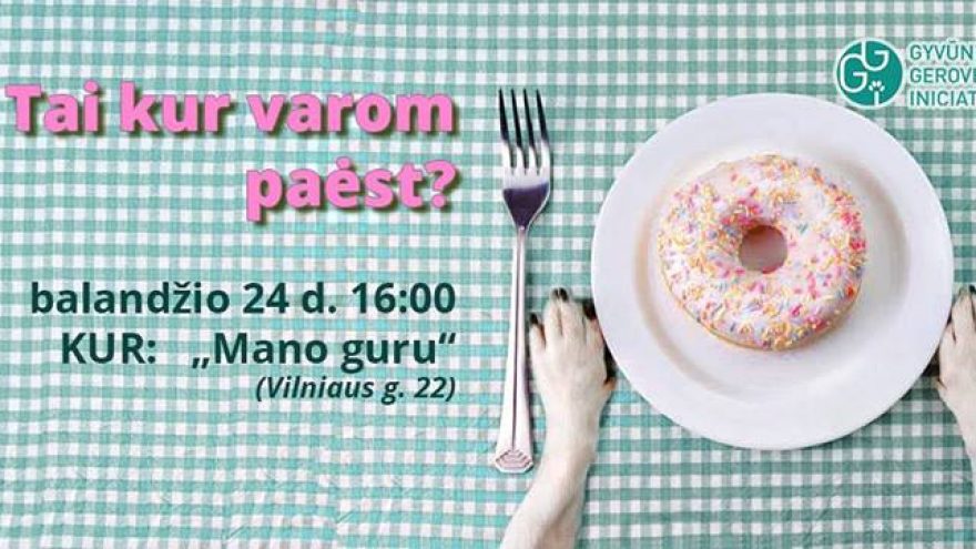 Šuns etiketas draugiškose gyvūnams vietose