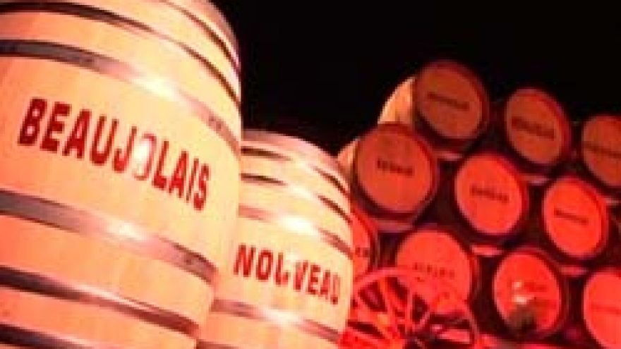 JAUNAS BOŽOLĖ VYNAS (BEAUJOLAIS NOUVEAU) ATVYKO!