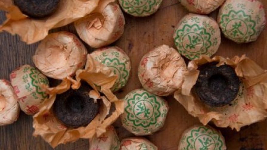 Puer arbatų degustacija