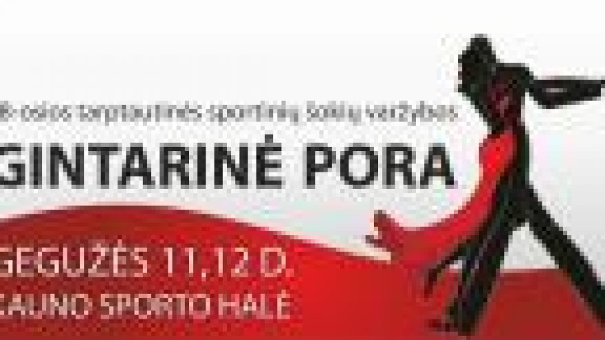 Sportinių šokių varžybos &#8220;Gintarinė pora 2013&#8221;