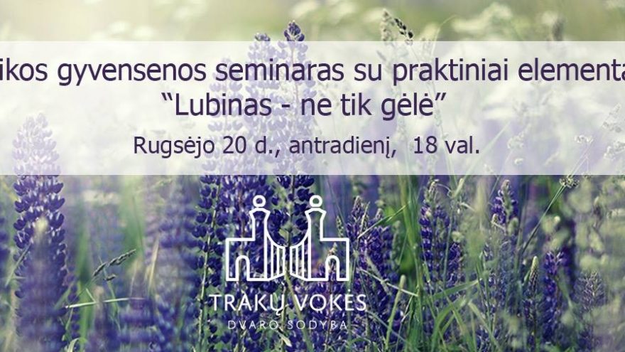 Lubinas &#8211; ne tik gėlė. Sveikos gyvensenos seminaras.