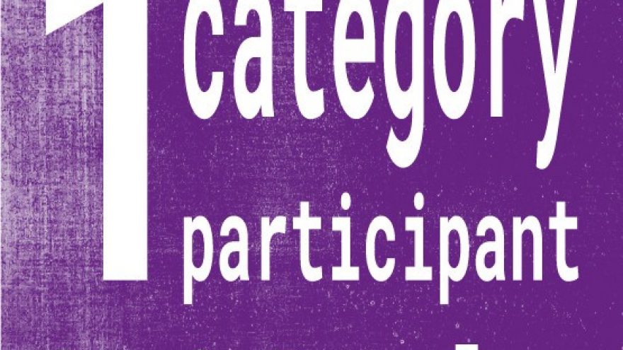 DALYVIS: Vienos kategorijos bilietas