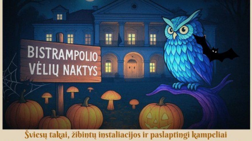 ŠVIESŲ FESTIVALIS &#8221;BISTRAMPOLIO VĖLIŲ NAKTYS&#8221; | Pramoga jauniausiems