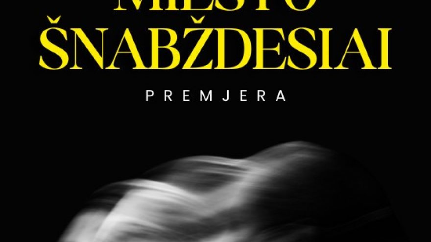 Premjera! &#8221;Miesto šnabždesiai&#8221; | rež. Marta Vendland