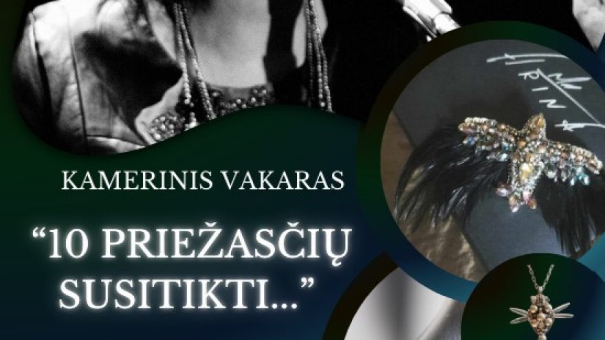 &#8221;10 priežasčių susitikti&#8221; kamerinis vakaras su Arina