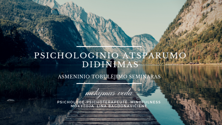 Psichologinio atsparumo didinimas. Asmeninio tobulėjimo seminaras su Lina Bagdonavičiene