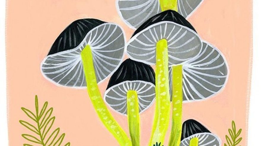 Tapybos vakaras: Magiški grybai