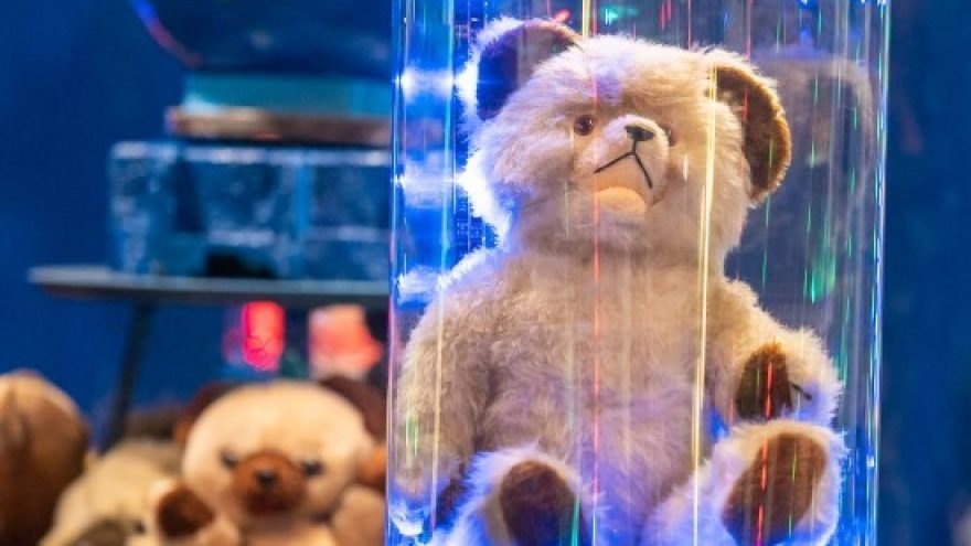 Naujametinis Meškinų muziejus PLUSHY B 55