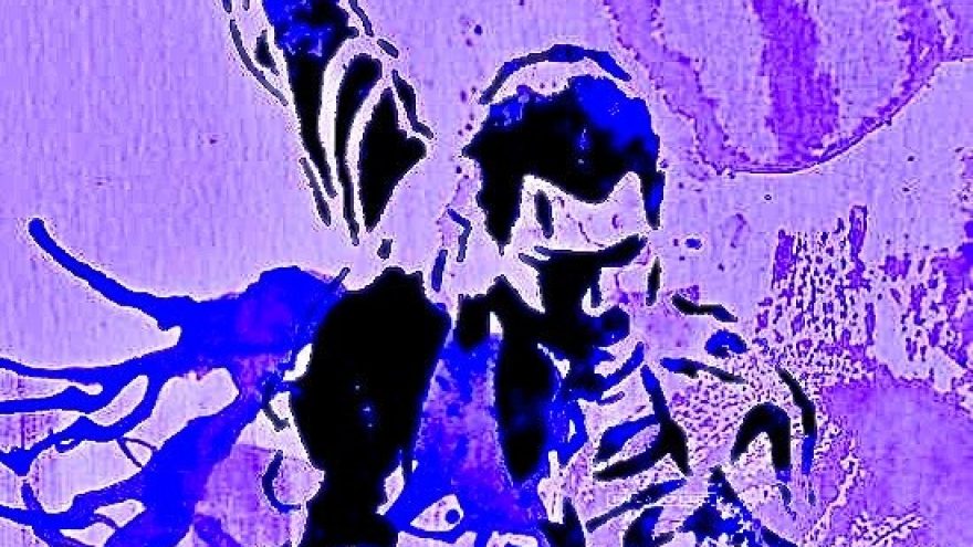 QUEEN in Jazz | Kaunas | PAPILDOMAS