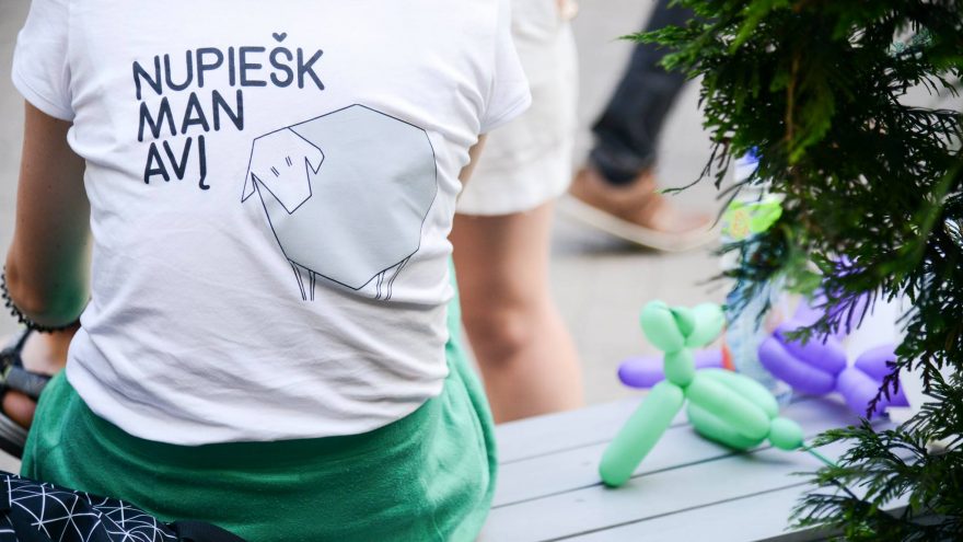 Paramos projektas „Nupiešk man avį”