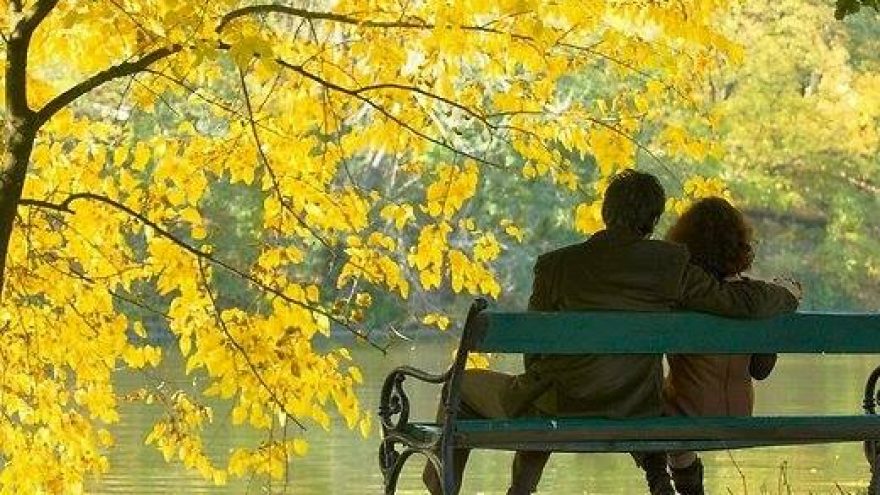 Sutuoktinių charakteriai ir jų suderinamumas