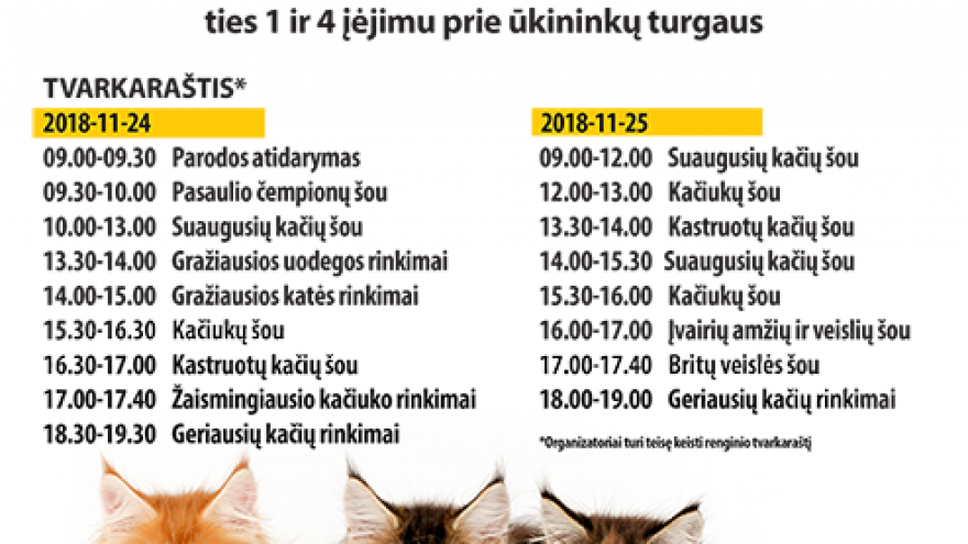 Pasaulinė kačių paroda Belamur