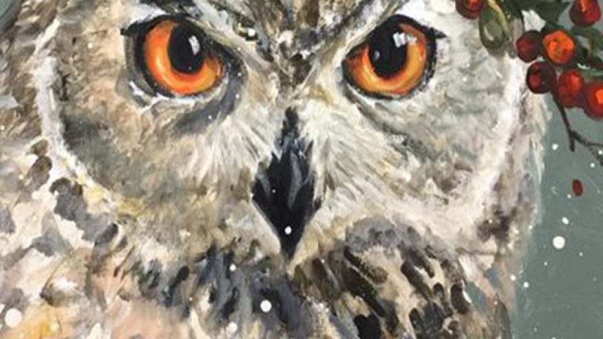 Tapybos vakaras: Kalėdų pelėda