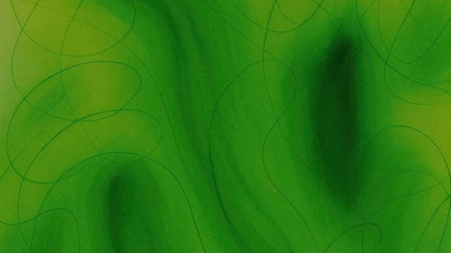 LVSO ARTISTŲ KONCERTAS