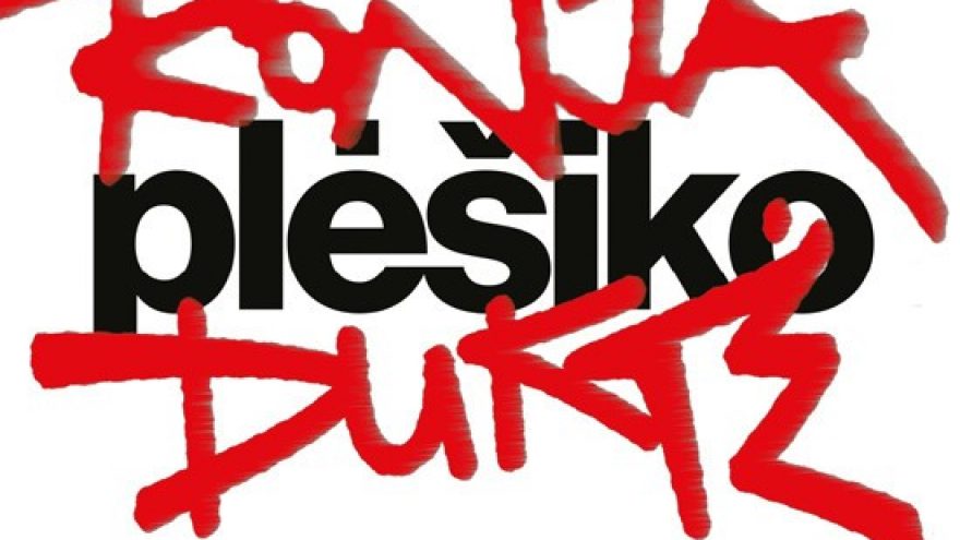 LNDT | PREMJERA. Astrid Lindgren. RONJA PLĖŠIKO DUKTĖ, rež. Eglė ŠVEDKAUSKAITĖ