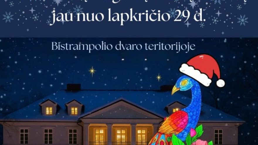 ŠVIESŲ FESTIVALIS &#8221;BISTRAMPOLIO KALĖDINĖ PASAKA&#8221;