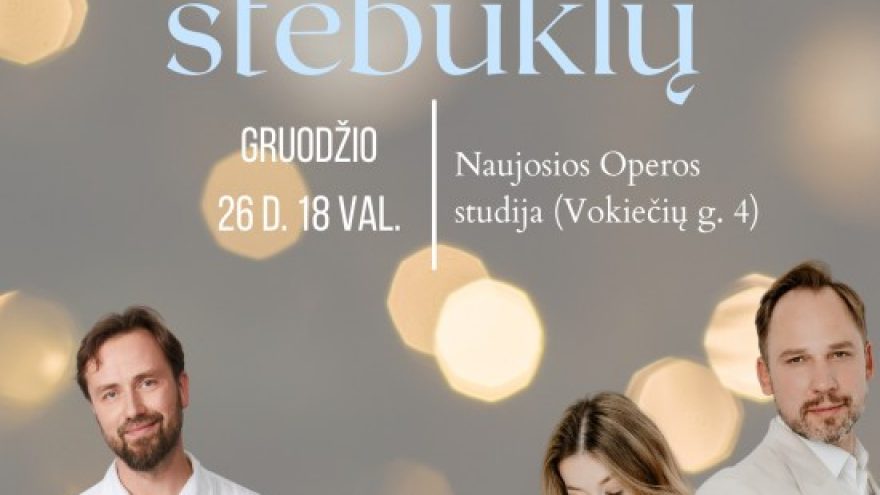 12 Kalėdų stebuklų