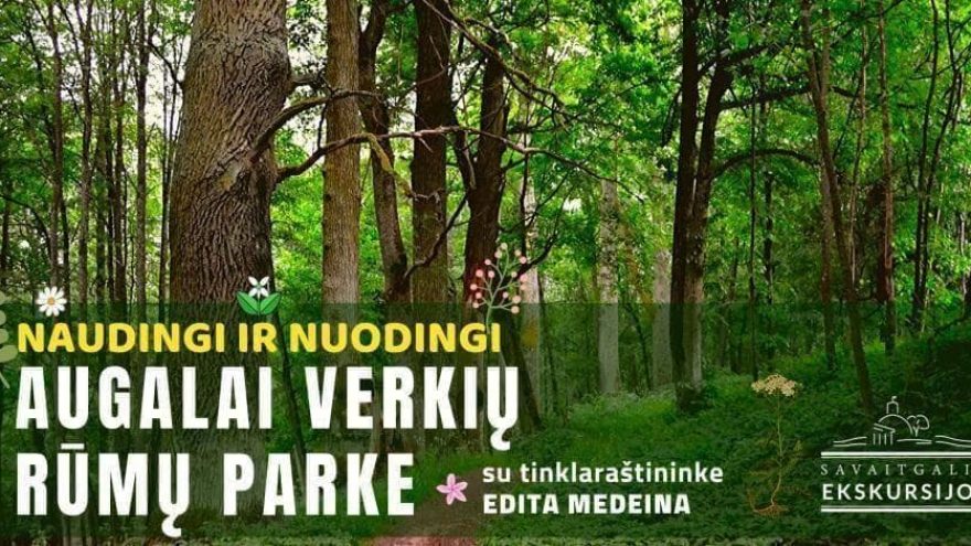 Naudingi ir nuodingi augalai Verkių rūmų parke