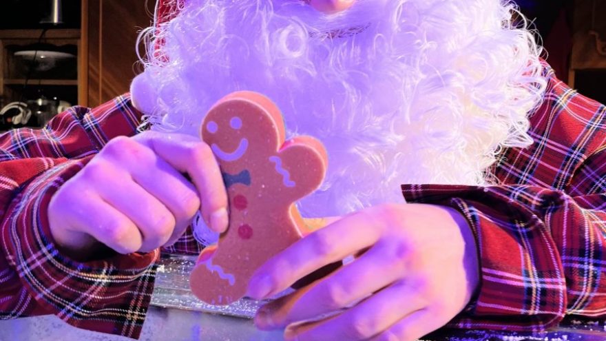 KALĖDŲ SENELIO NAMELIS