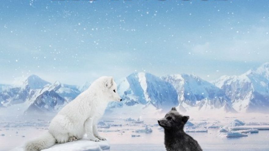 Lapių kelionė ledynuose | Visaginas | Kino filmas