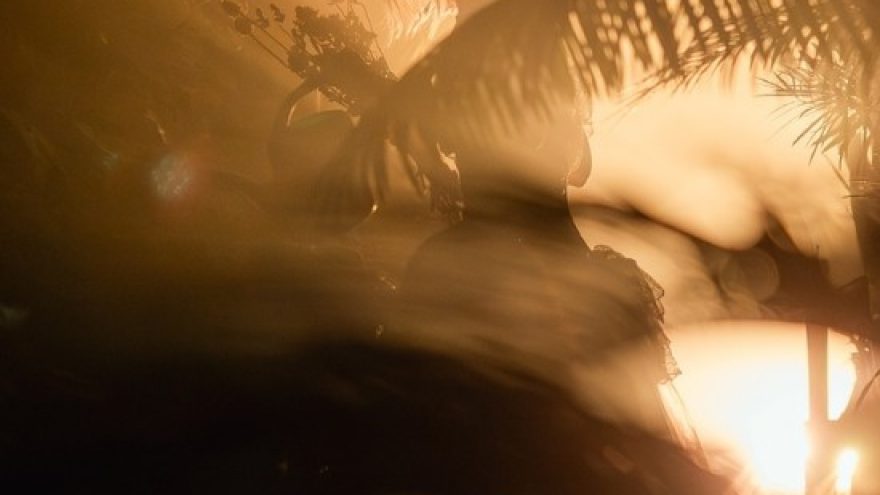 Metų pabaigos vakaras oranžerijoje | netradicinis spektaklis &#8221;Narcizas&#8221;