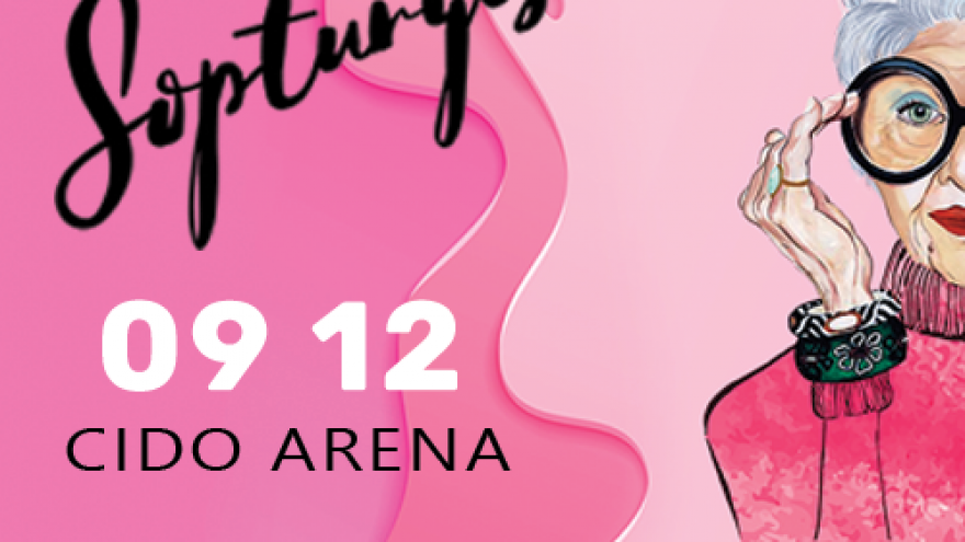 ŠOPTURGIS PANEVĖŽYJE