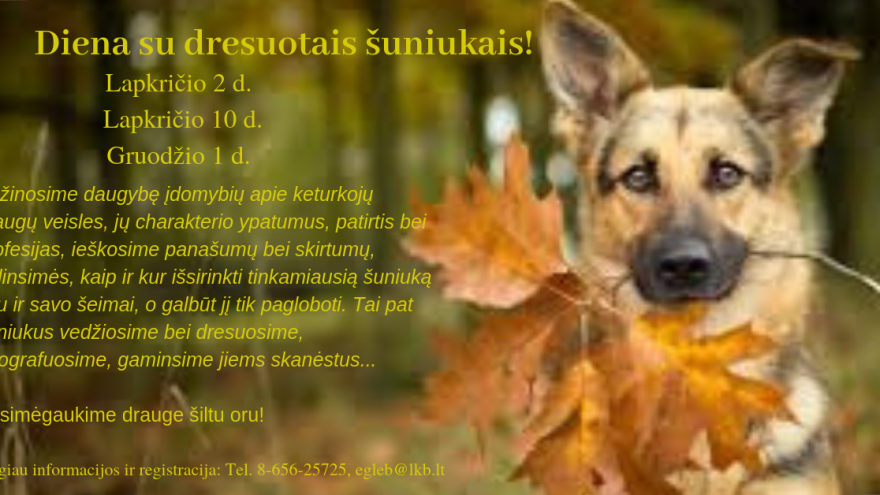 Diena su dresuotais šuniukais!