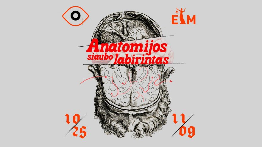 Helovynas ETM | Anatomijos labirintas