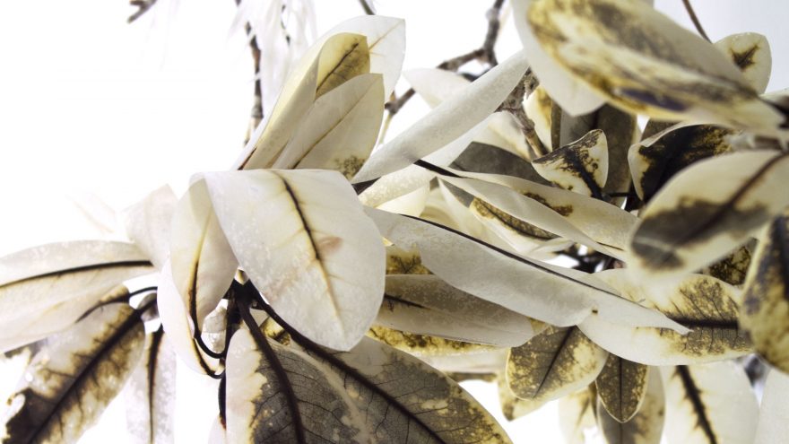 Luca Vanello personalinė paroda „Drėgni raumenys laukia”