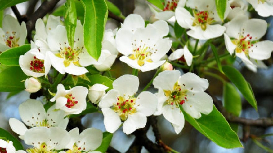 Ekskursija “Paparčio žiedo beieškant”