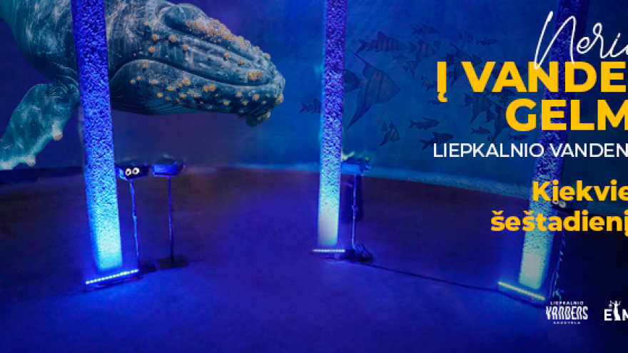 Pasinerk į vandenyno gelmes | Ekskursijos ir audiovizualiniai šou