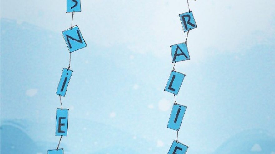 KALĖDINIS SPEKTAKLIS I SNIEGO KARALIENĖ