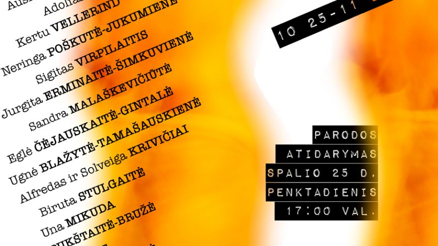 Kviečiame į tarptautinę šiuolaikinės gintaro juvelyrikos parodą „Amber Room“