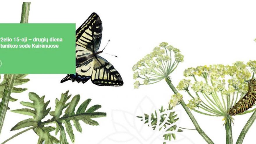 Drugių diena VU Botanikos sode